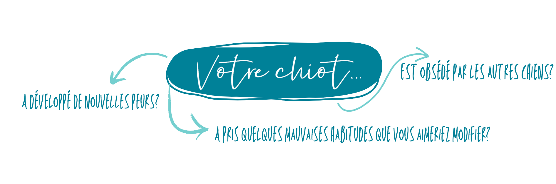 Votre-chiot-college