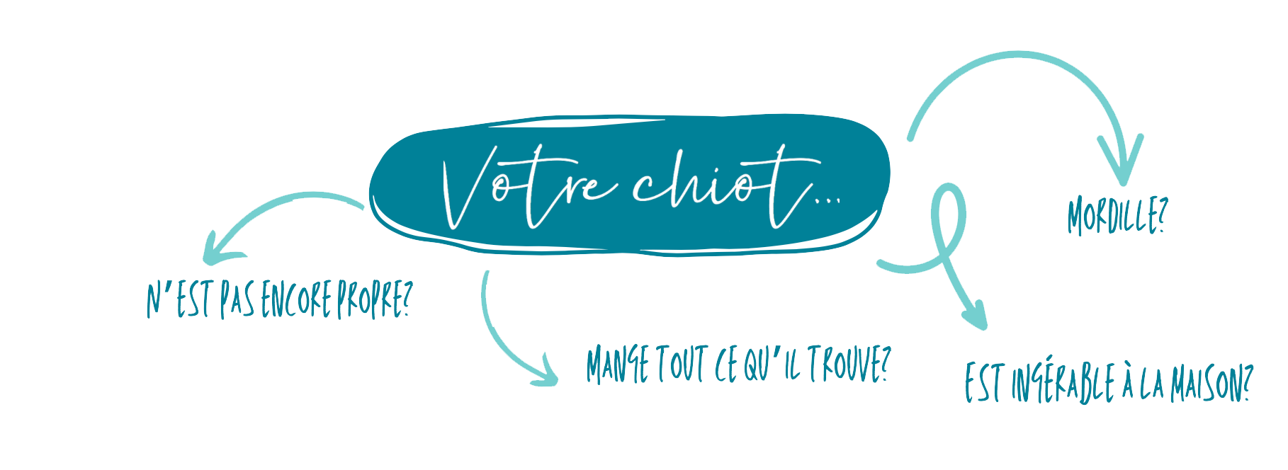 Votre-chiot-maternelle