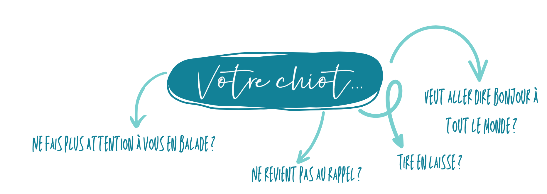 Votre-chiot-primaire